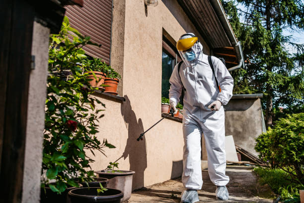 Best Pest Control Treatment  in Deltana, AK