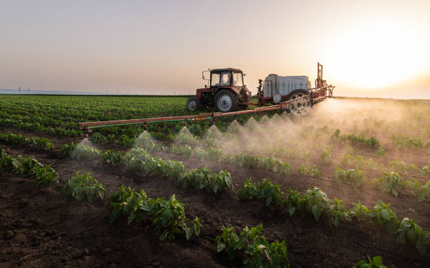Best Mosquito Control Services  in Deltana, AK