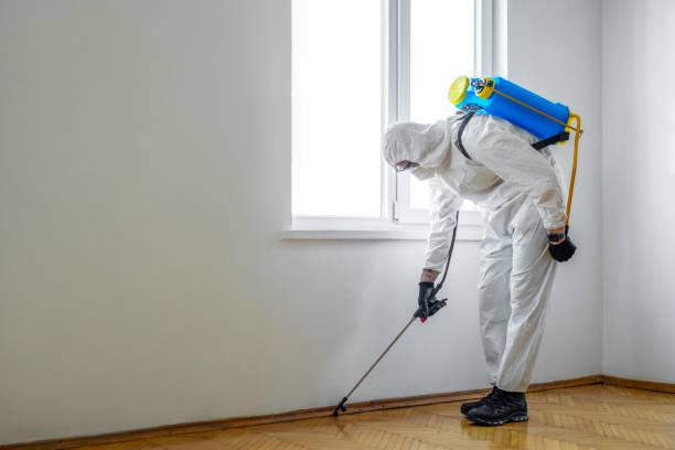 Best Pest Removal Services  in Deltana, AK