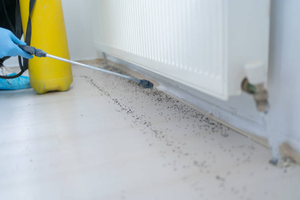 Best Cockroach Control Services  in Deltana, AK