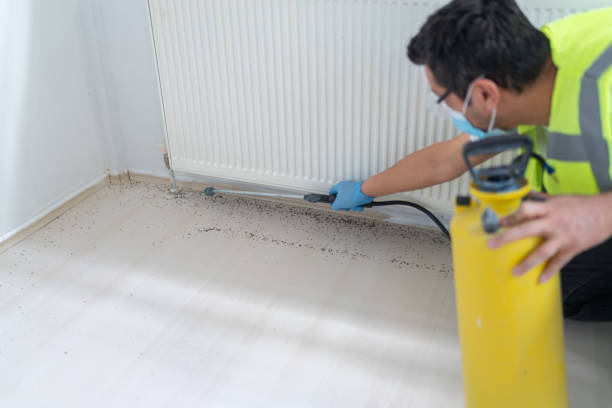 Best Wasp Removal Services  in Deltana, AK